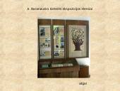 Antanas Baranauskas 13 puslapis