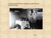 Antanas Baranauskas 8 puslapis