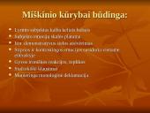 Apie Antaną Miškinį 5 puslapis