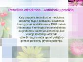 Antibiotikai 2 puslapis