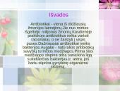 Antibiotikai 12 puslapis