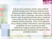 Antibiotikai 3 puslapis