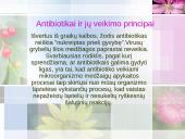 Antibiotikai 5 puslapis