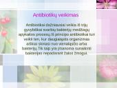 Antibiotikai 6 puslapis