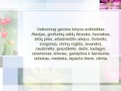 Antibiotikai 7 puslapis