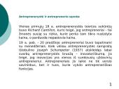 Antrepreneris. Pasireiškimas ir veikla 2 puslapis