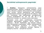 Antrepreneris. Pasireiškimas ir veikla 12 puslapis