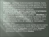 Aplinkos samprata, veiksniai ir ypatybės 2 puslapis