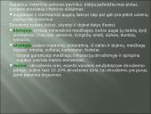 Aplinkos samprata, veiksniai ir ypatybės 13 puslapis