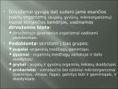 Aplinkos samprata, veiksniai ir ypatybės 14 puslapis