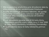 Aplinkos samprata, veiksniai ir ypatybės 15 puslapis