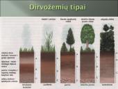 Aplinkos samprata, veiksniai ir ypatybės 17 puslapis