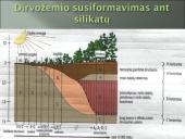 Aplinkos samprata, veiksniai ir ypatybės 18 puslapis