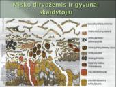 Aplinkos samprata, veiksniai ir ypatybės 19 puslapis
