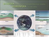 Aplinkos samprata, veiksniai ir ypatybės 3 puslapis