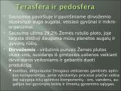 Aplinkos samprata, veiksniai ir ypatybės 10 puslapis