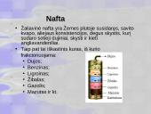 Aplinkos tarša nafta ir naftos produktais 2 puslapis