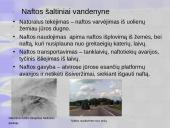 Aplinkos tarša nafta ir naftos produktais 12 puslapis
