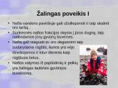 Aplinkos tarša nafta ir naftos produktais 17 puslapis