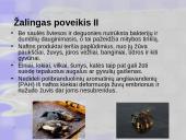 Aplinkos tarša nafta ir naftos produktais 18 puslapis