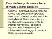 Individualios įmonės apskaitos principai 12 puslapis