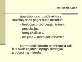 Individualios įmonės apskaitos principai 15 puslapis