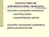 Individualios įmonės apskaitos principai 17 puslapis