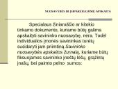 Individualios įmonės apskaitos principai 19 puslapis