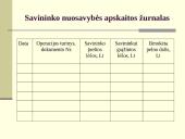 Individualios įmonės apskaitos principai 20 puslapis