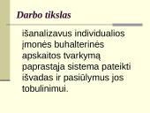 Individualios įmonės apskaitos principai 3 puslapis