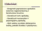 Individualios įmonės apskaitos principai 5 puslapis