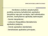 Individualios įmonės apskaitos principai 7 puslapis
