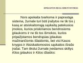 Individualios įmonės apskaitos principai 10 puslapis