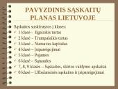 Apskaitos procesas ir jo organizavimas 11 puslapis