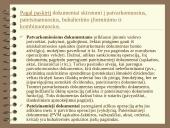 Apskaitos procesas ir jo organizavimas 3 puslapis