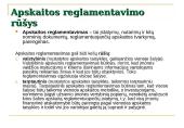 Apskaitos reglamentavimas ir apskaitos modeliai 2 puslapis