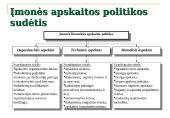 Apskaitos reglamentavimas ir apskaitos modeliai 19 puslapis