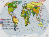 Arealų tipologija ir ribos 14 puslapis