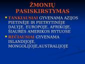 Arealų tipologija ir ribos 6 puslapis