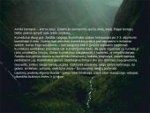 Arklių elgsena ir fiziologija 12 puslapis