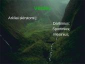 Arklių elgsena ir fiziologija 14 puslapis