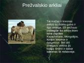 Arklių elgsena ir fiziologija 15 puslapis