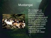 Arklių elgsena ir fiziologija 16 puslapis