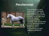 Arklių elgsena ir fiziologija 17 puslapis