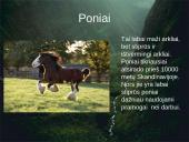 Arklių elgsena ir fiziologija 18 puslapis