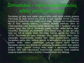 Arklių elgsena ir fiziologija 19 puslapis