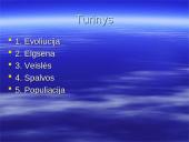 Arklių evoliucija 2 puslapis