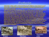 Arklių evoliucija 3 puslapis