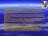 Arklių evoliucija 4 puslapis