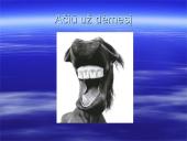 Arklių evoliucija 10 puslapis